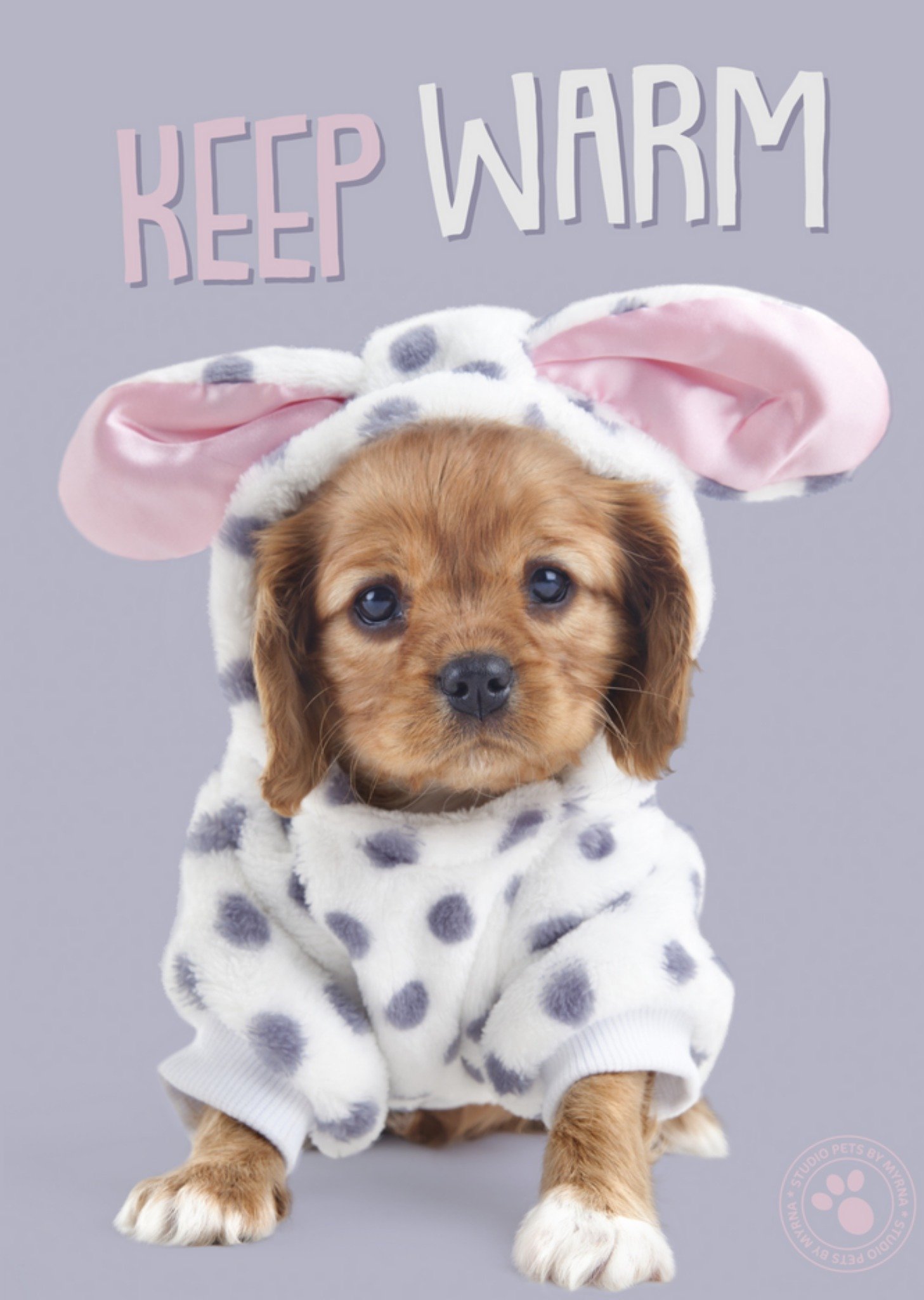 Studio Pets - Beterschapskaart - hondje - keep warm