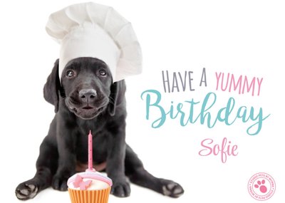 Verjaardagskaart | Studio Pets | Schattig | Puppy