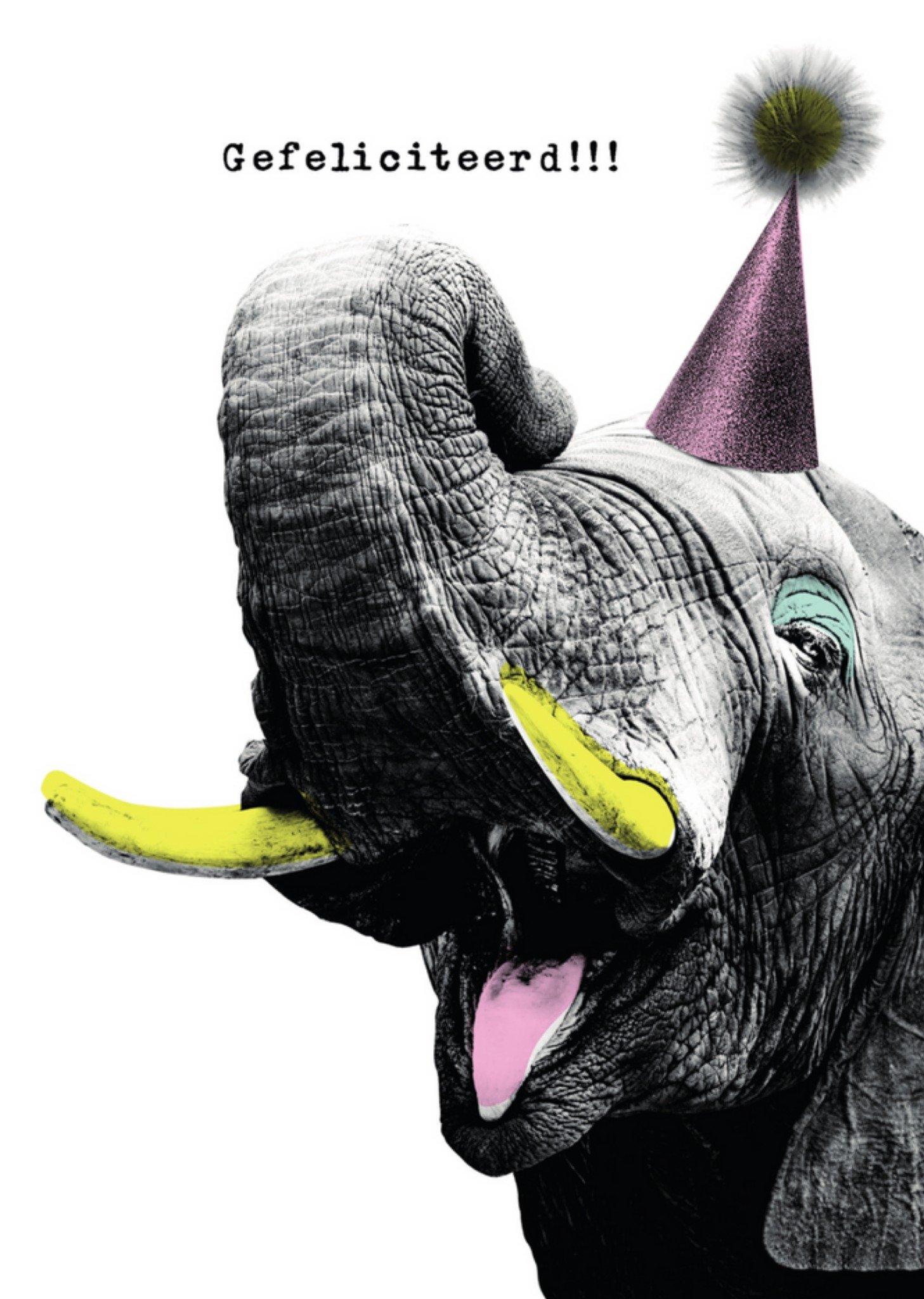 Papagrazi - Verjaardagskaart - olifant
