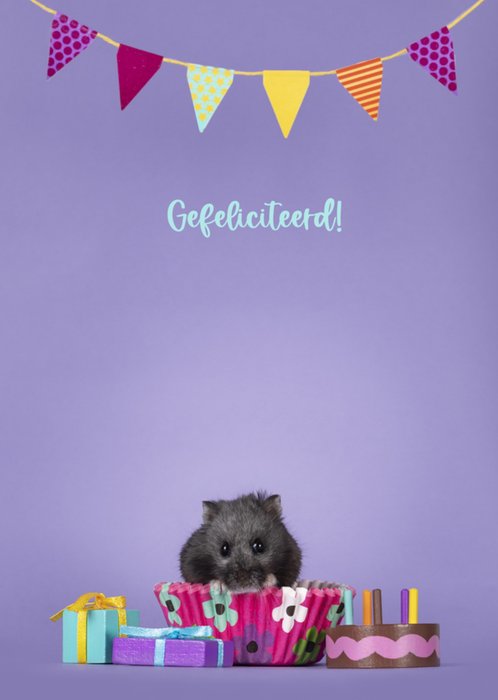Catchy Images | Verjaardagskaart | hamster