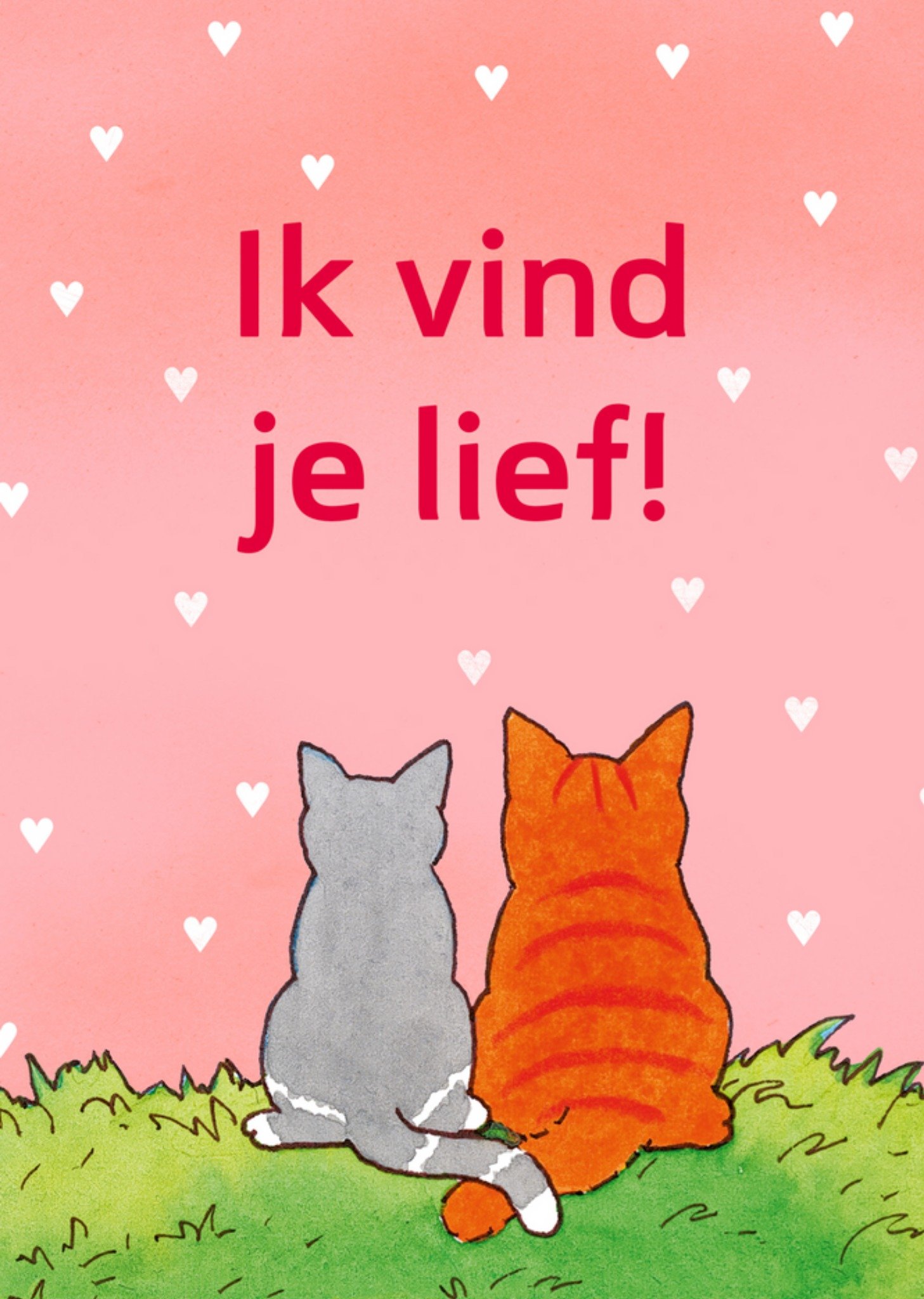 Dikkie Dik - Valentijnskaart - Katten - Hartjes