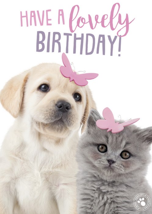 Studio Pets | Verjaardagskaart | schattig
