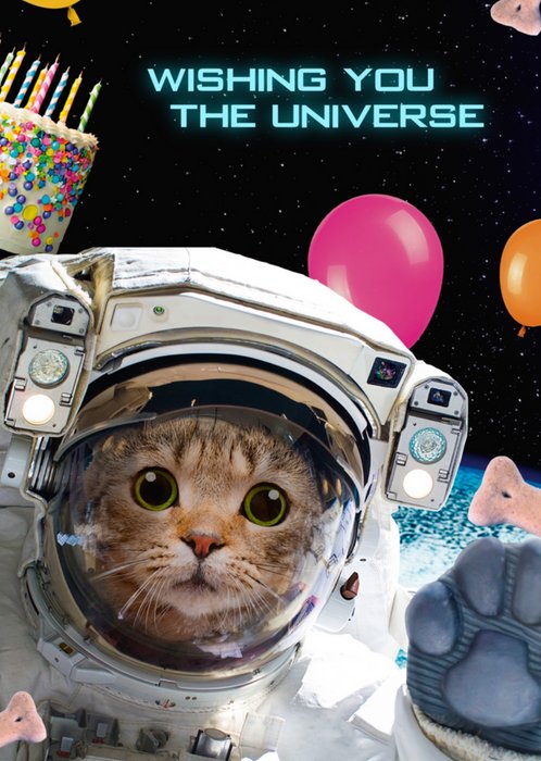 TMS | Verjaardagskaart | kat | universum
