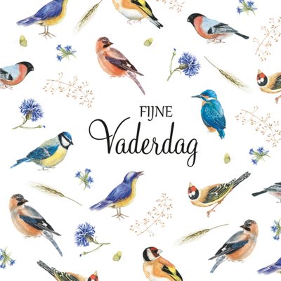 Janneke Brinkman | Vaderdagkaart | vogels