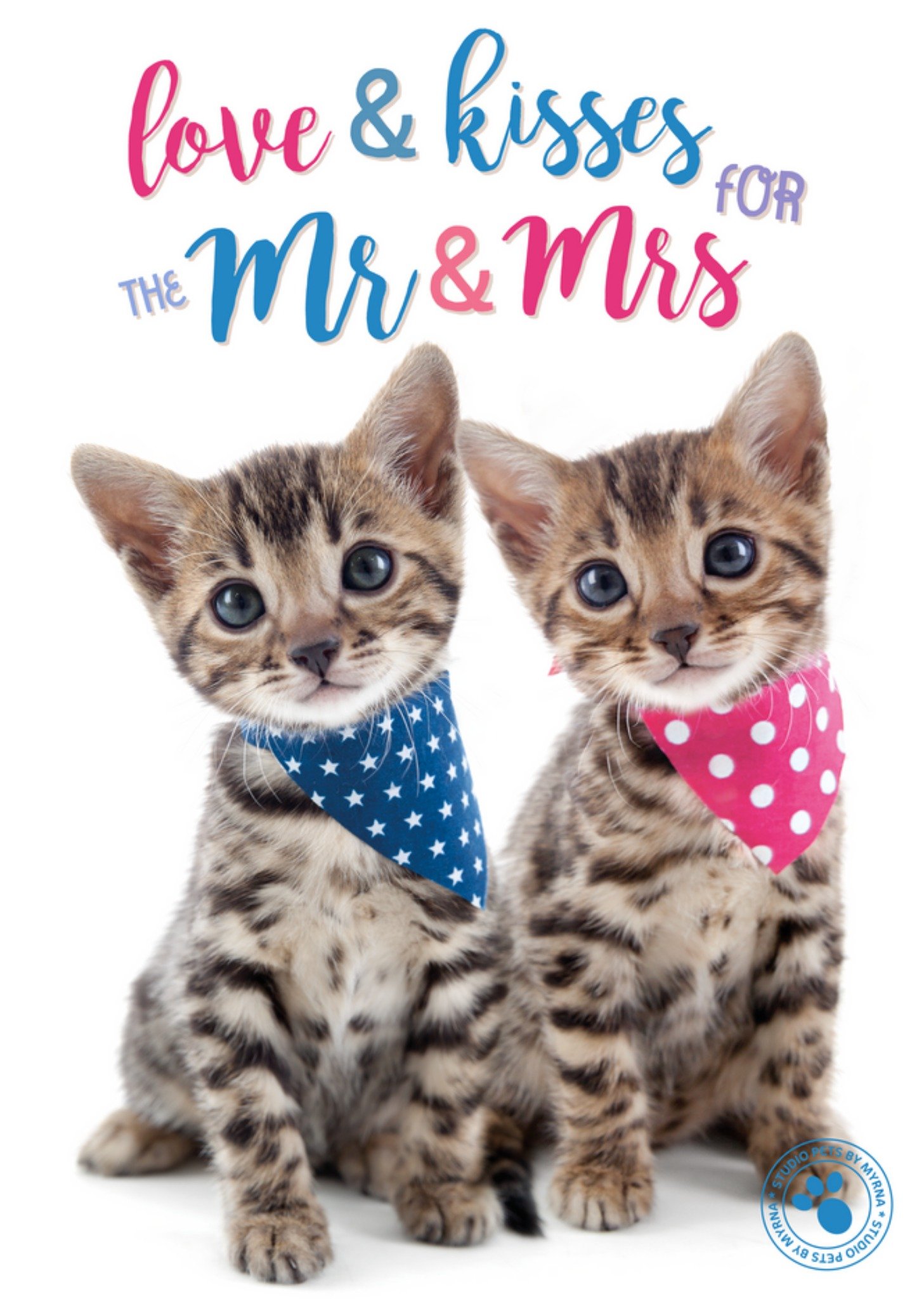 Studio Pets - Huwelijkskaart - Katjes