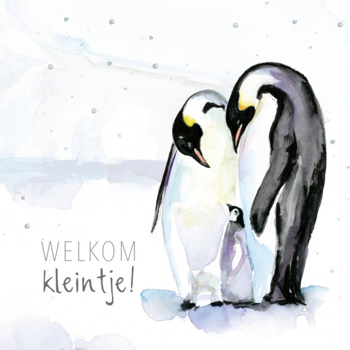 Michelle Dujardin | Geboortekaart | pinguin