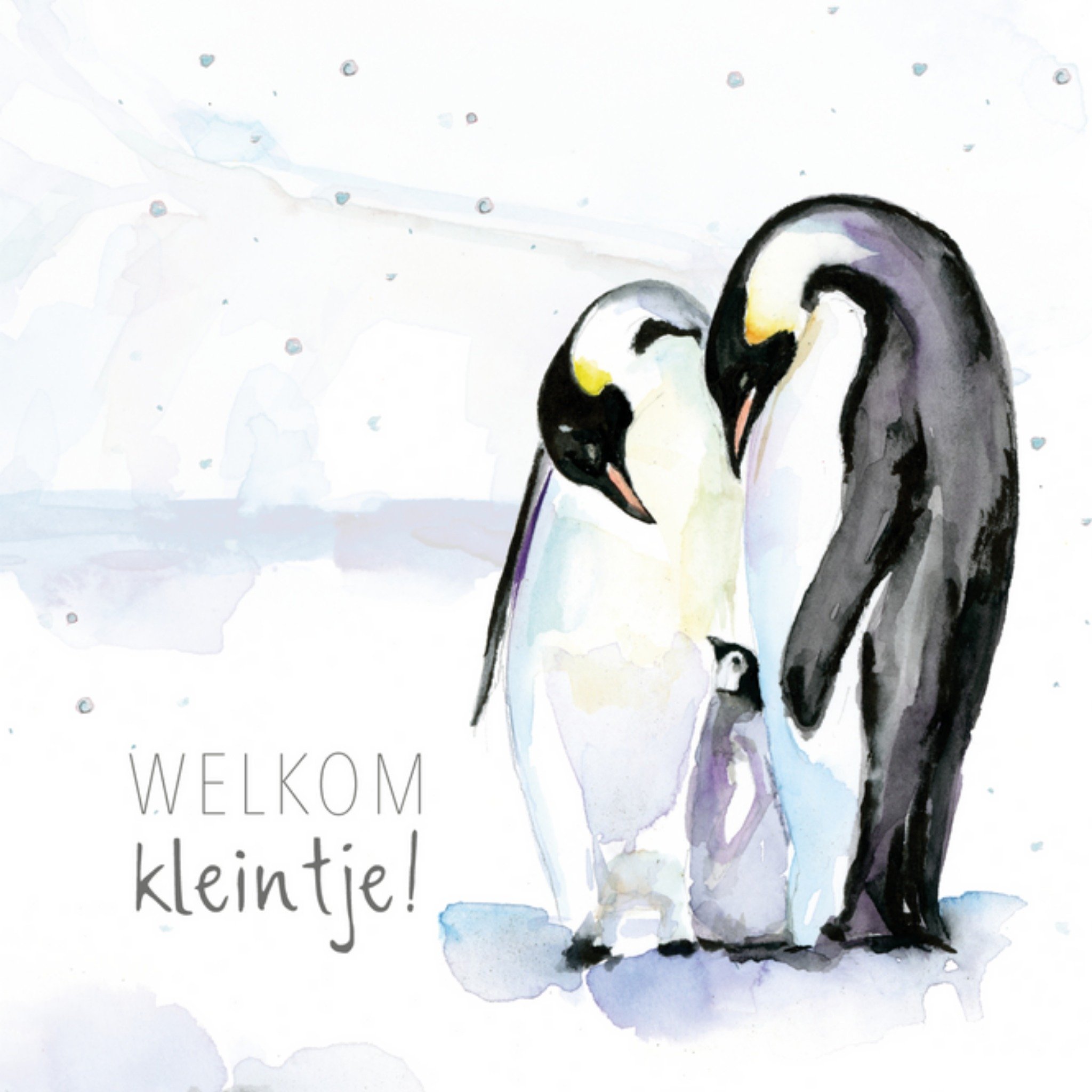 Michelle Dujardin - Geboortekaart - pinguin