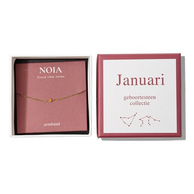 Noia Jewellery | Birthstone | January | Goud