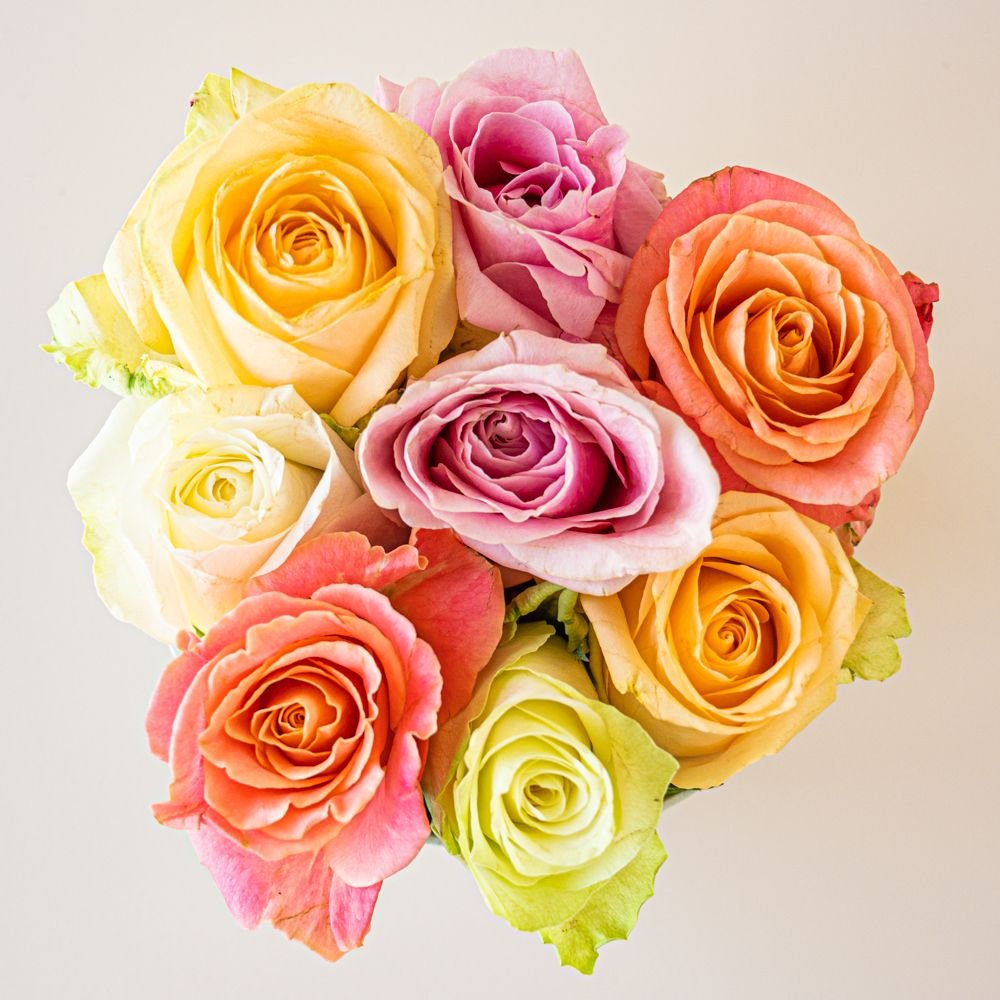 Hoedendoos met rozen - Veel liefs