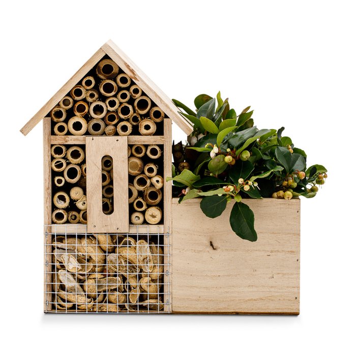 Insectenhotel met gaultheria